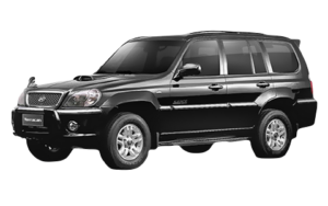 Aislantes térmicos oscurecedores Hyundai Terracan