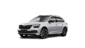 Aislantes térmicos oscurecedores Skoda Kamiq